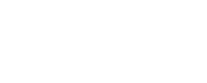 DDT White Logo