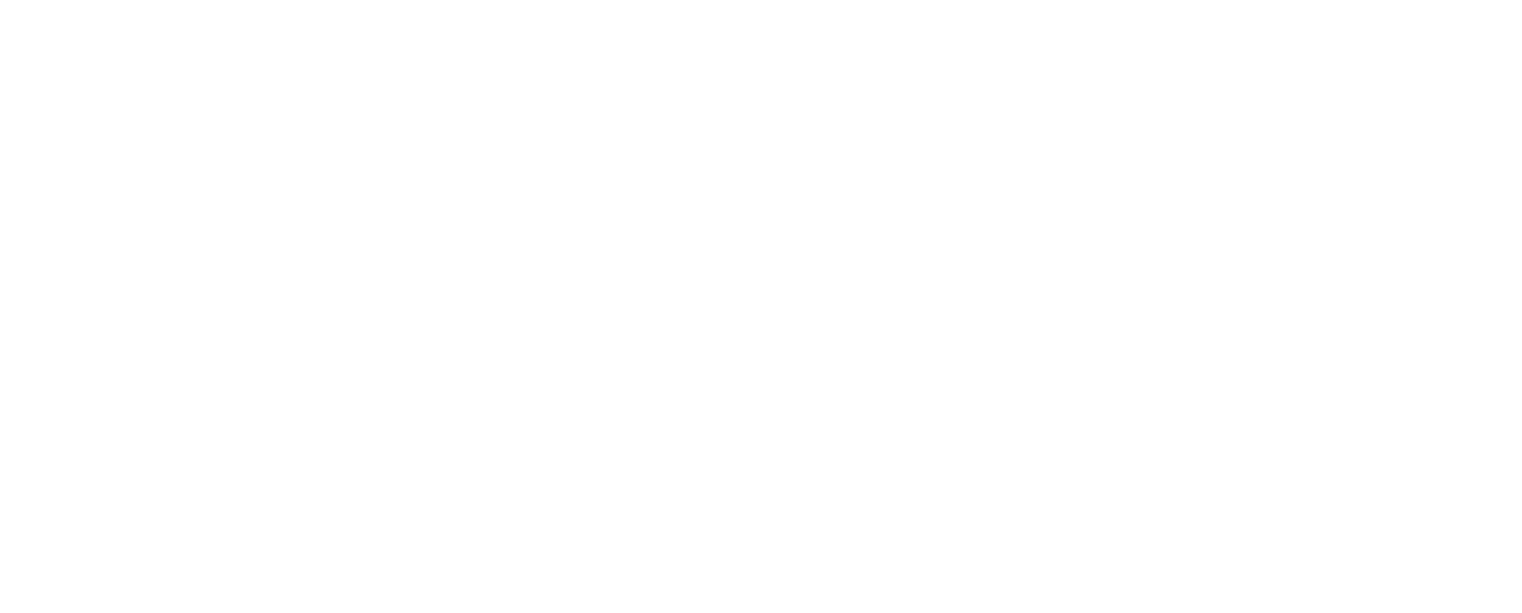 DDT White Logo